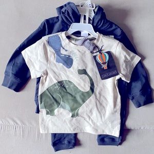 Dinosaur outfit 3 piece with hoodie NWT 24mo smoke free home